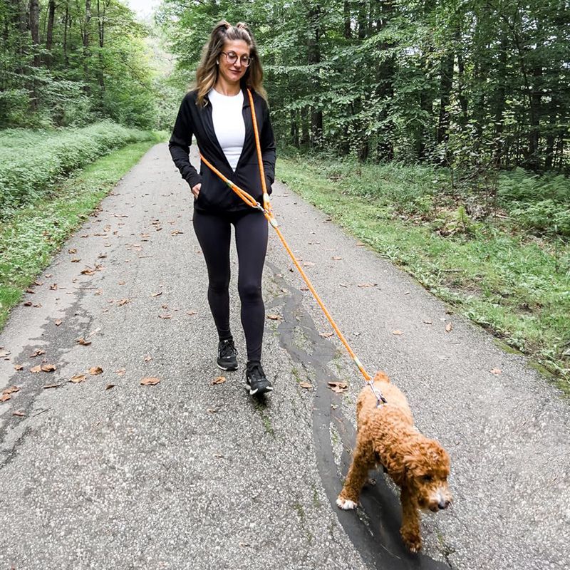 Running Zwift - Correa reflectante para perros manos libres