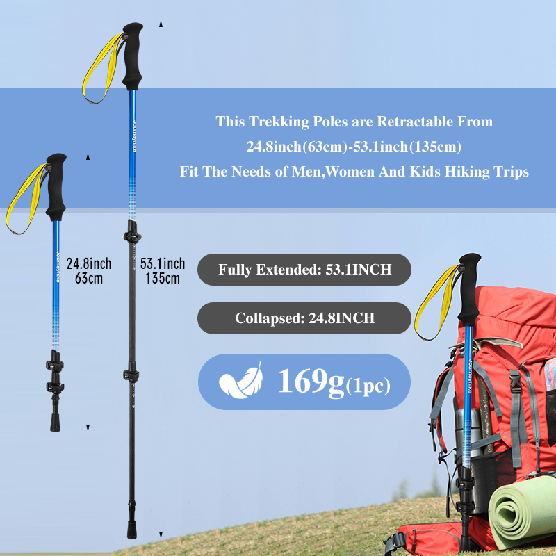 Bastón de Trekking de Fibra de - Trekking Pole Carbon reseña y precio